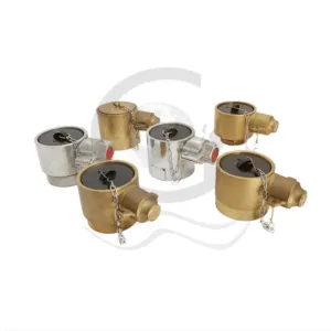 BS336 instantaneous female adaptor with cap and chain