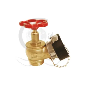 TCVN landing valve
