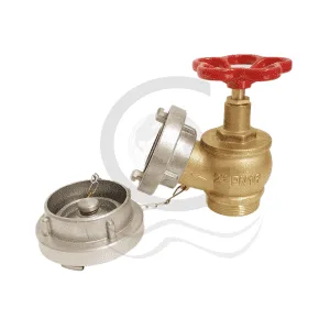 Compatibility with Storz Adapters